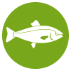 acuicola_Pochteca_MP_1