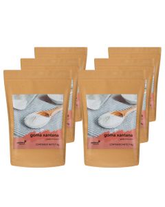 Goma xantana 6 bolsas de 1 kg