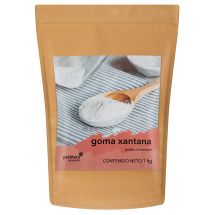 Goma xantana 1 kg