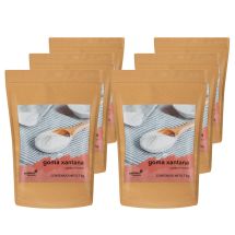 Goma xantana 6 bolsas de 1 kg