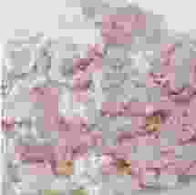 Pigmento rojo-rosado Iridesium 215 - 1 kg