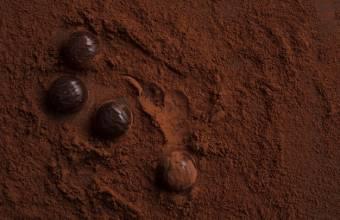 Diferencias entre cocoa alcalina y natural