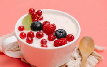 ¿Qué es el yogurt y cómo se produce?