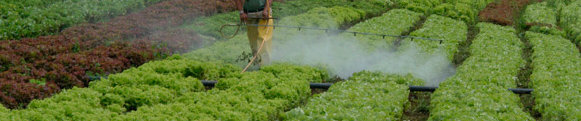 Usos del cloruro de potasio en agricultura