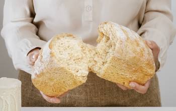Texturizantes para panadería