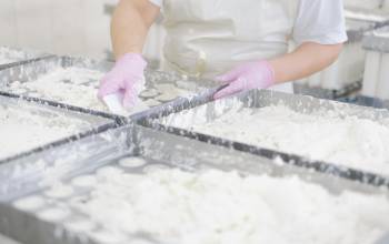 Aditivos en la panadería