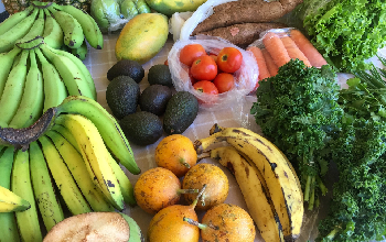 antioxidantes naturales