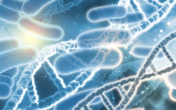 Usos de la creolina en la limpieza industrial y veterinaria