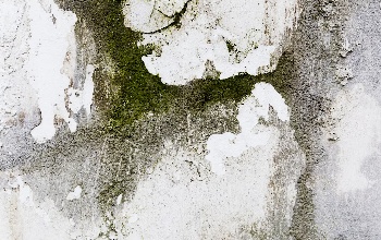 Seguridad para el uso de creolina