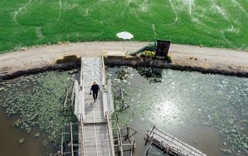 Cuidados de seguridad del ácido crómico