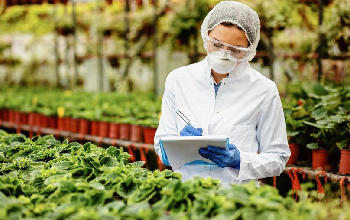 ¿es lo mismo un fertilizante que un abono?