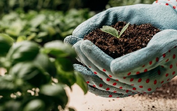 Usos del lignosulfonato de sodio