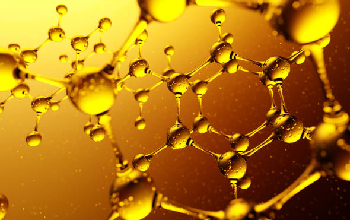 monogrado y multigrado