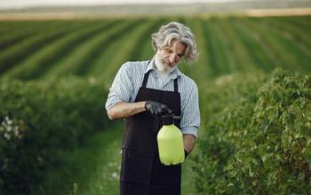 Precauciones del uso del aguarrás