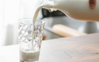 Proceso de elaboración del yogur