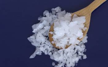 ¿Qué es el cloruro de magnesio?