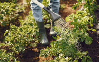 recomendaciones de manipulación del sulfato de zinc