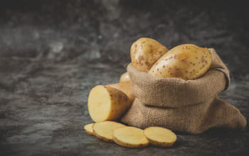 Usos de la fécula de papa